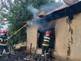 Pompierii militari au stins incendiul. FOTO ISU Delta